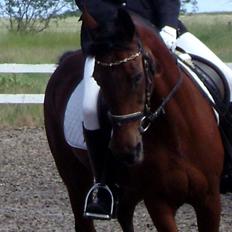 Anden særlig race Rinal (RIP)