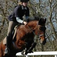 Anden særlig race Rinal (RIP)