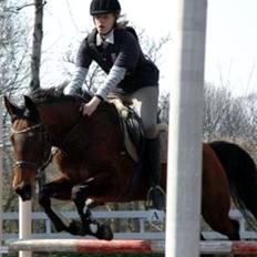 Anden særlig race Rinal (RIP)