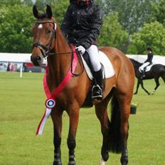 Holstener Pretty woman