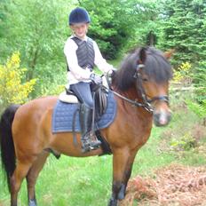 New Forest Chaplin