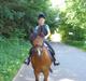 New Forest Chaplin