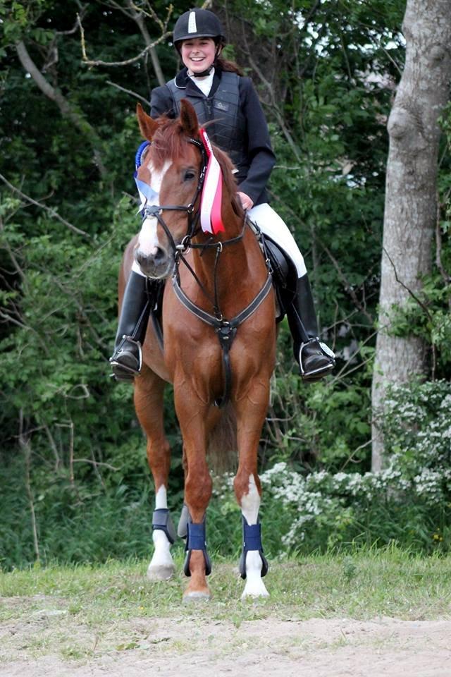 Dansk Varmblod Engeplet Charmeur <3 *Vildhesten* - Dejlige mus! Godt du selv ved hvor god du er!! <3
Taget af Hartwigsen Photography billede 23