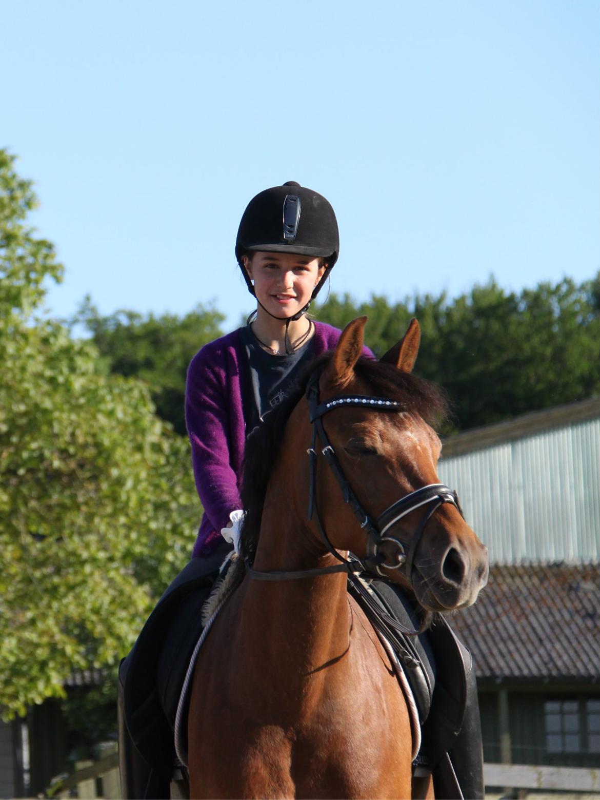 Tysk Sportspony Cascadura B-pony - Min bedste ven. ♥♥♥ billede 14