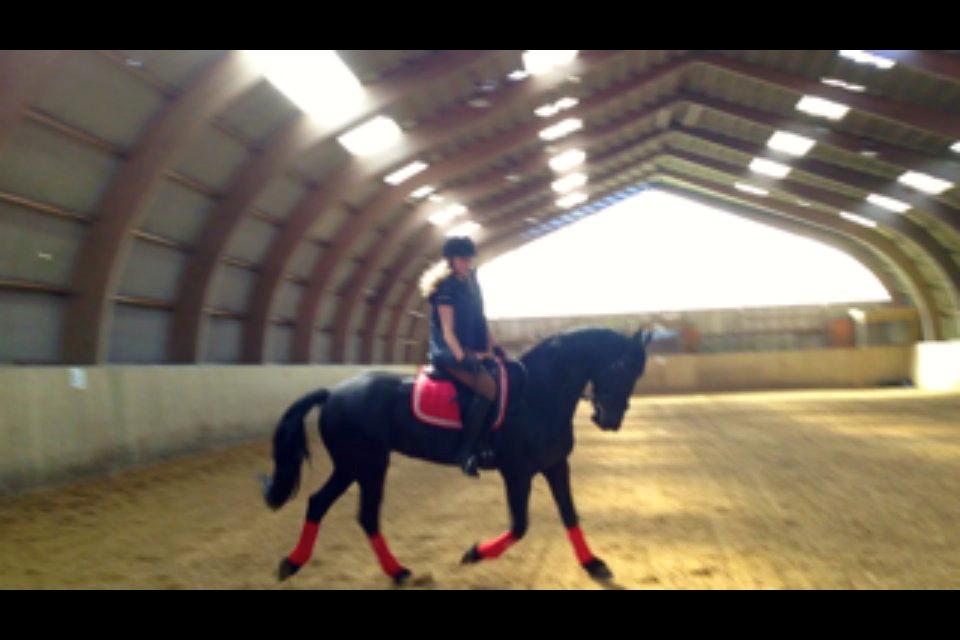 Frieser Tonia billede 14