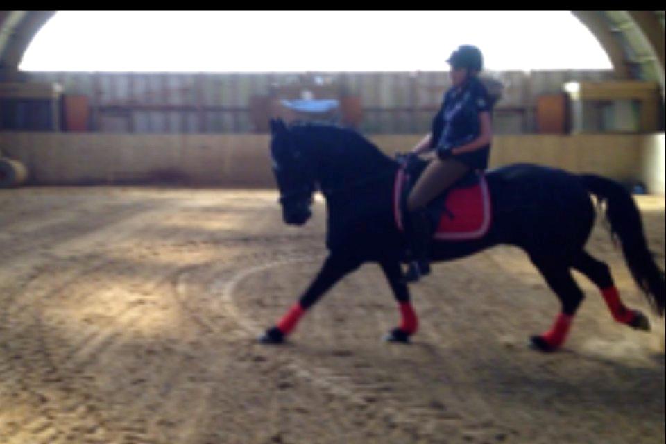 Frieser Tonia billede 15