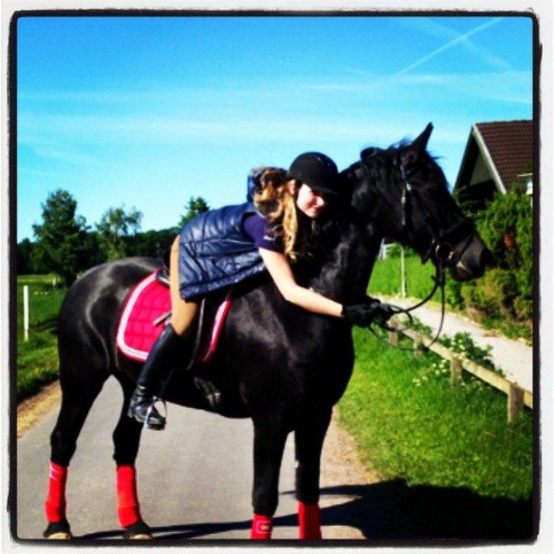 Frieser Tonia billede 16