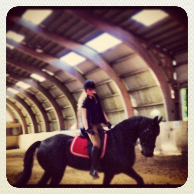 Frieser Tonia billede 17