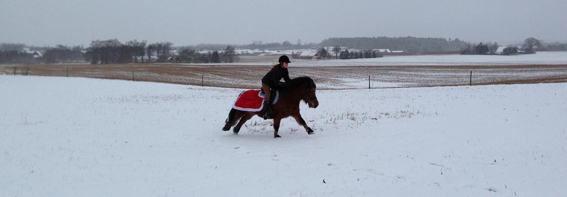 Anden særlig race Freja billede 9