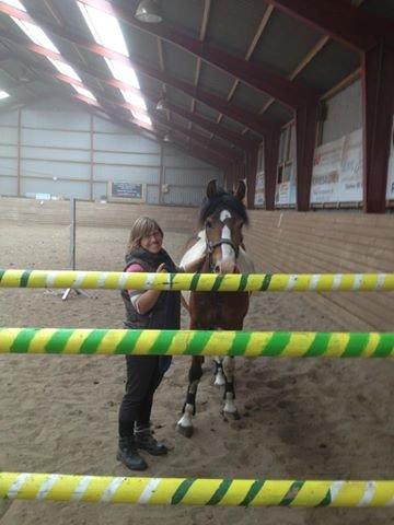 Anden særlig race Felix - d.22 juni 2013 sprang Felix 125 i løsspring billede 6