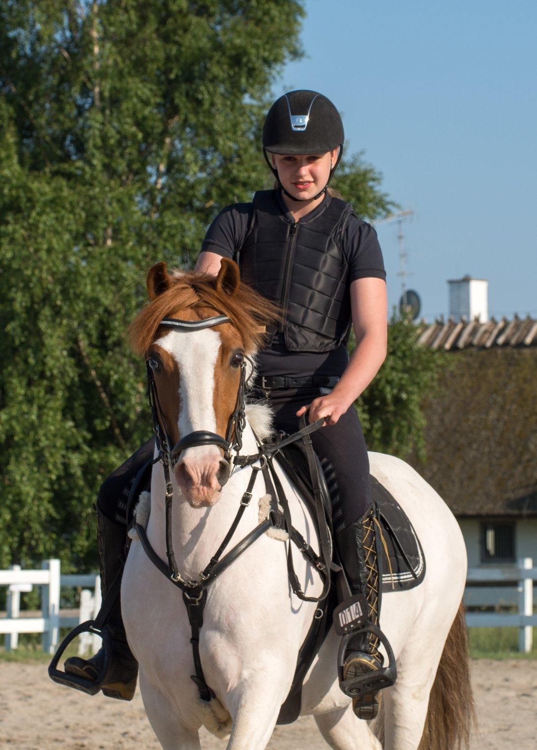 Irsk Sportspony Richie - happy face Richie<3 billede 2