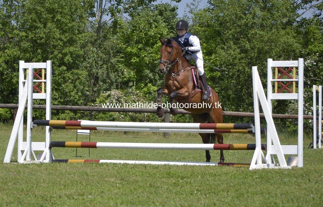 Tysk Sportspony Buglies Star - Billedet er taget af Mathilde Danmark - Tak! billede 5