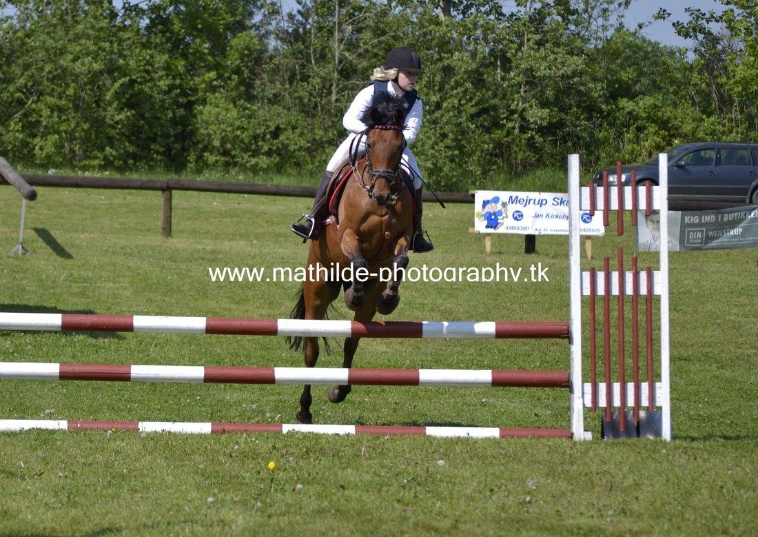 Tysk Sportspony Buglies Star - Billedet er taget af Mathilde Danmark - Tak! billede 7