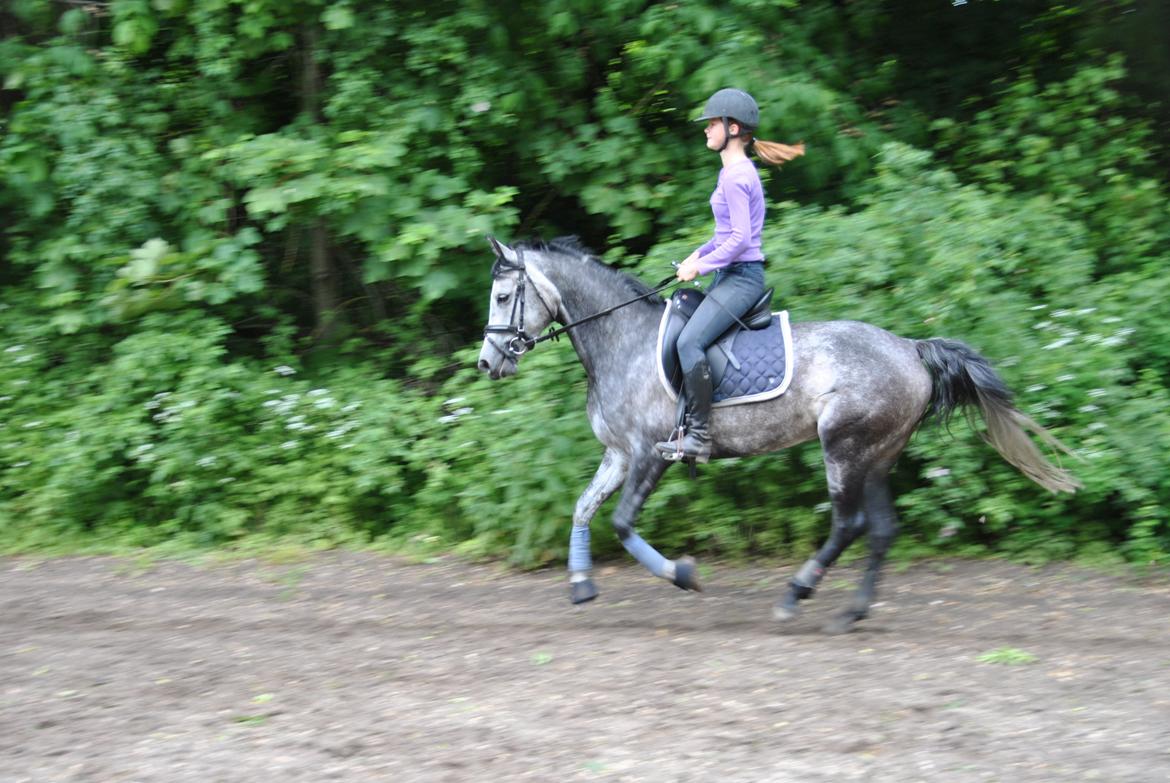 Anden særlig race sa tikki<3 Solgt & savnet - Juuuuhuuu det bare sønt at strække halsen lidt :D det går bare over stok og sten <3 billede 6