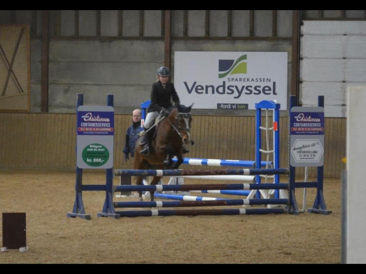 Anden særlig race Donja billede 1