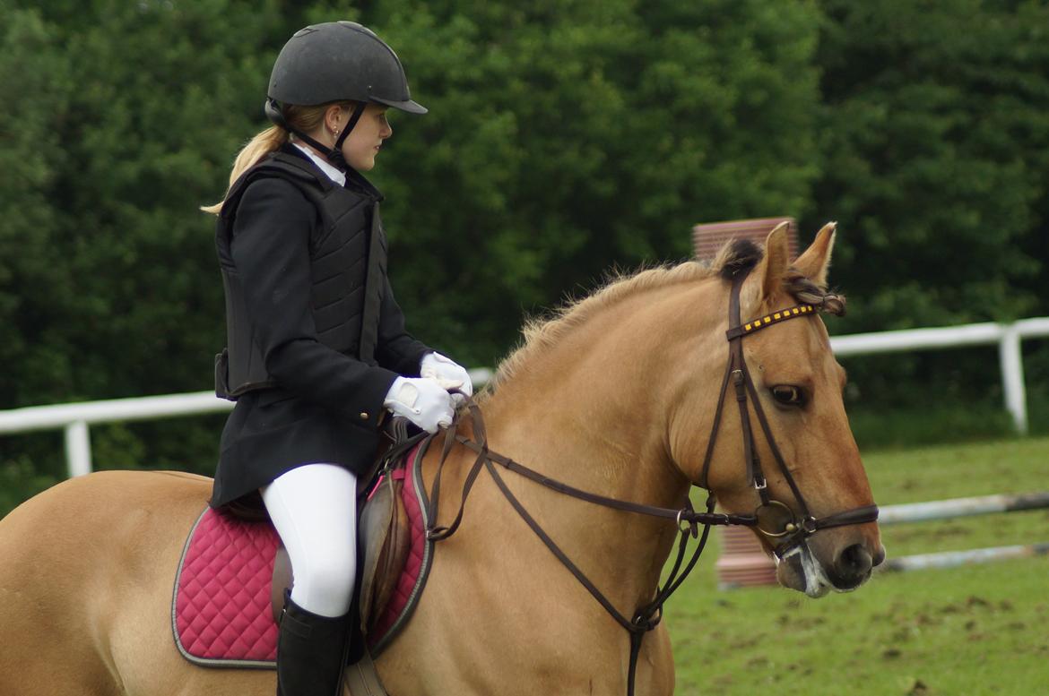 Anden særlig race Dumbledore  - You're my one and only! <3 billede 23