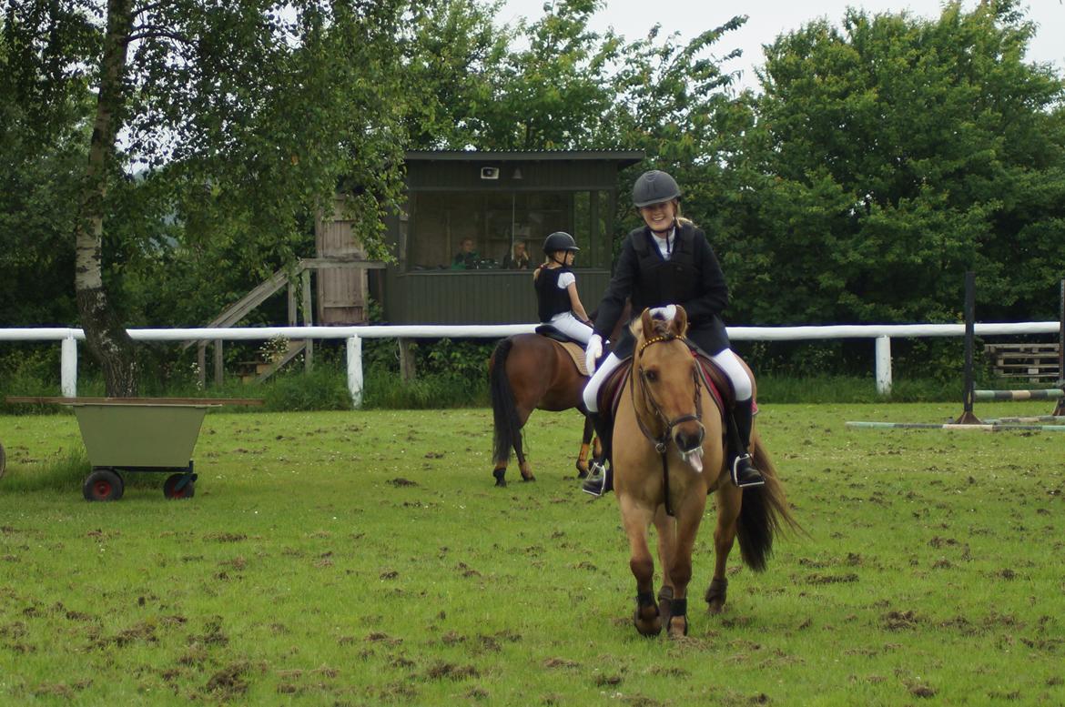 Anden særlig race Dumbledore  - Hvad er succes? Kunsten består i, at gå fra succes til et nederlag og så formå at rejse sig igen. Det er rigtig succes. “ billede 28