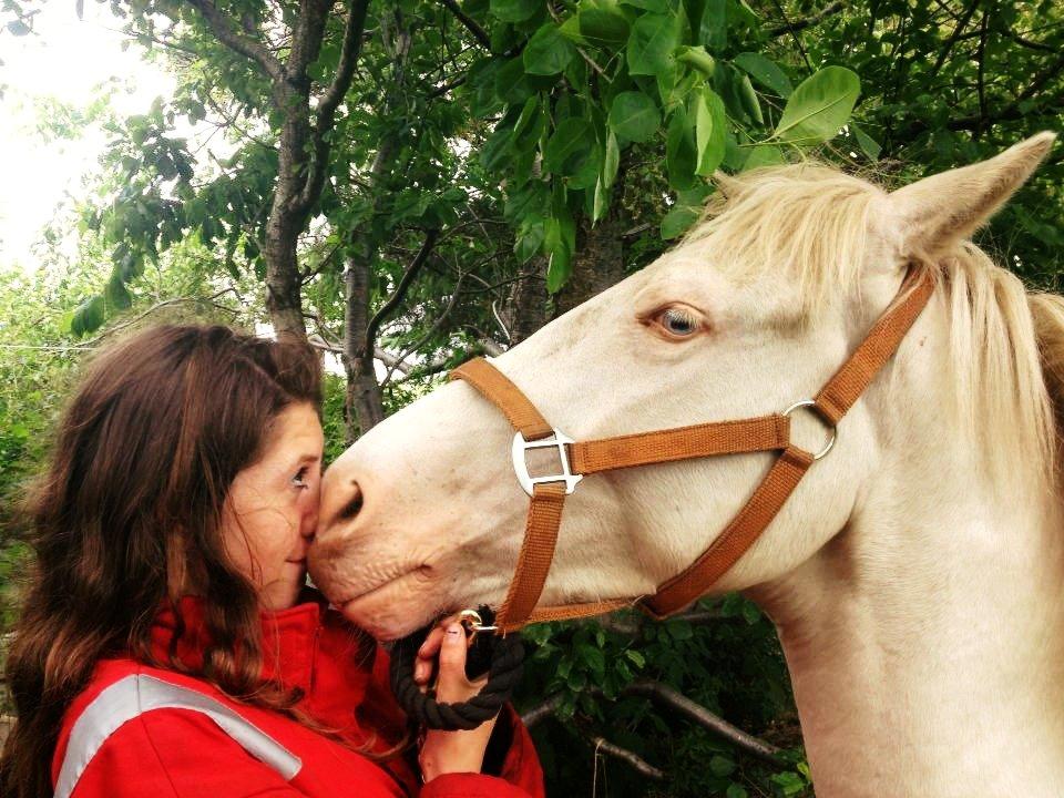 Anden særlig race Claus (Snowboy) billede 1