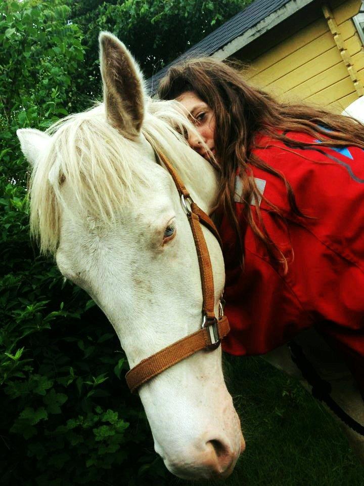 Anden særlig race Claus (Snowboy) billede 15