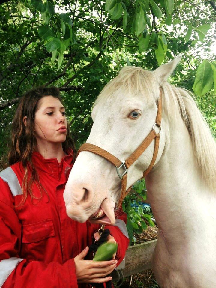 Anden særlig race Claus (Snowboy) billede 16