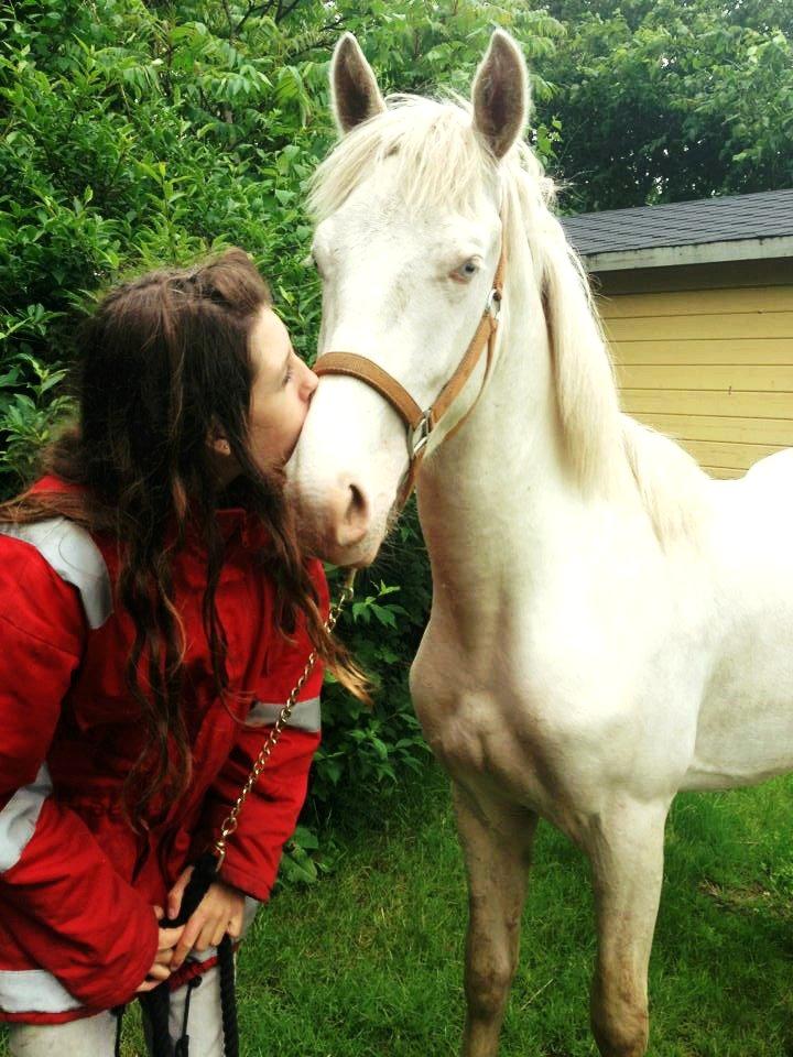 Anden særlig race Claus (Snowboy) billede 18