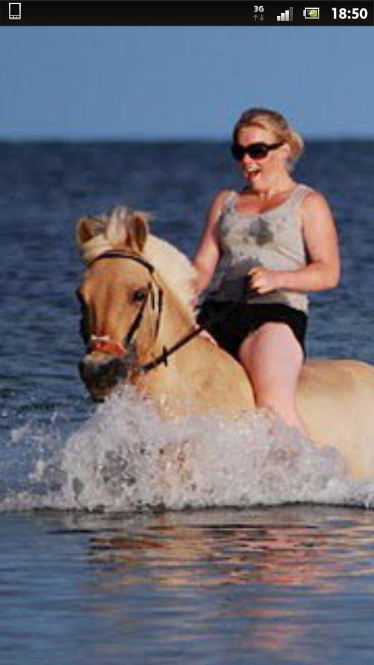 Fjordhest Romeo's Celine - badetur 2010 billede 11
