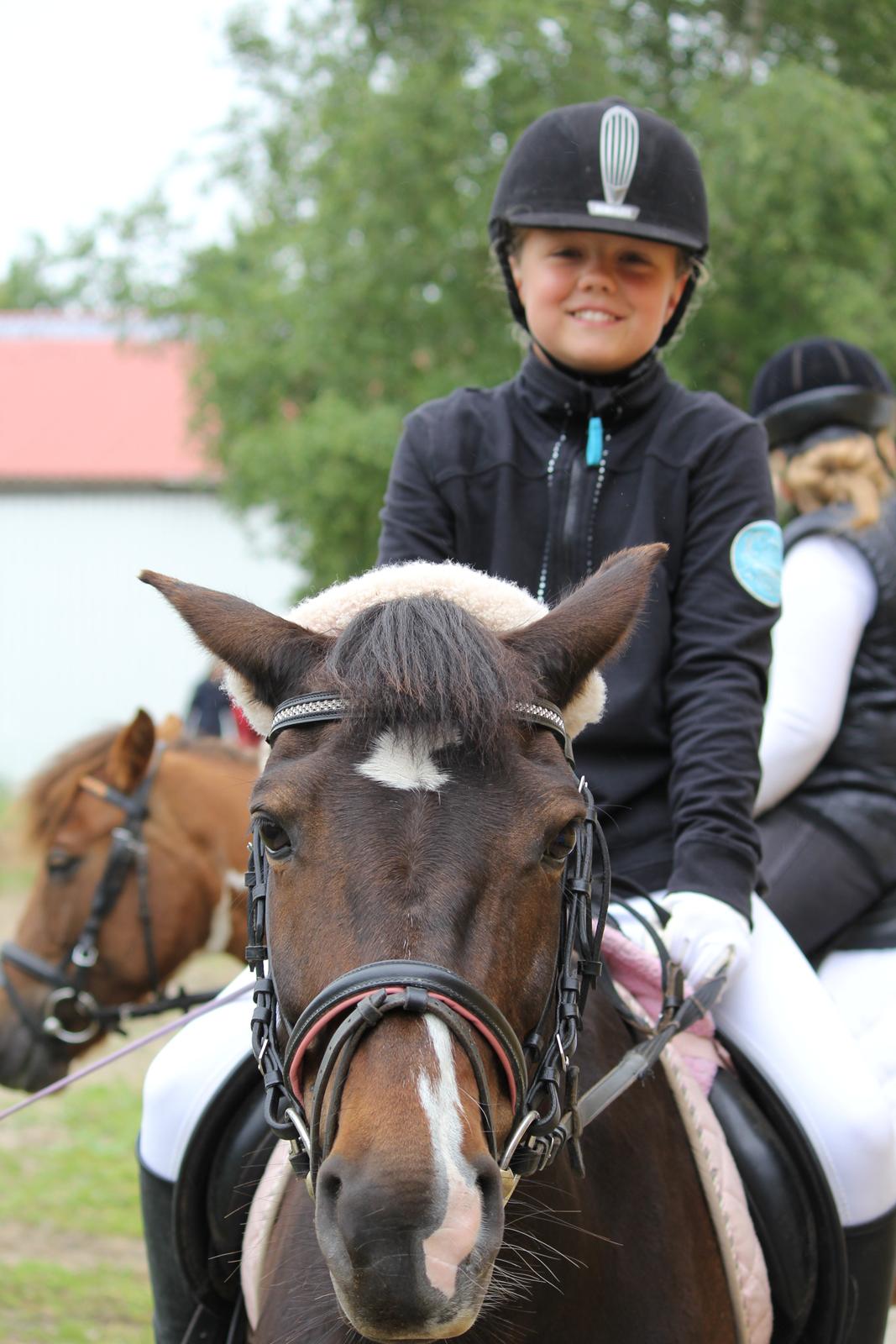 Anden særlig race Isabell <3 billede 1