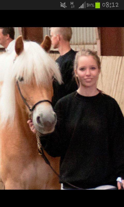 Tyroler Haflinger Fannie af Stenbek - Kåring - Perfect together!<3 billede 10