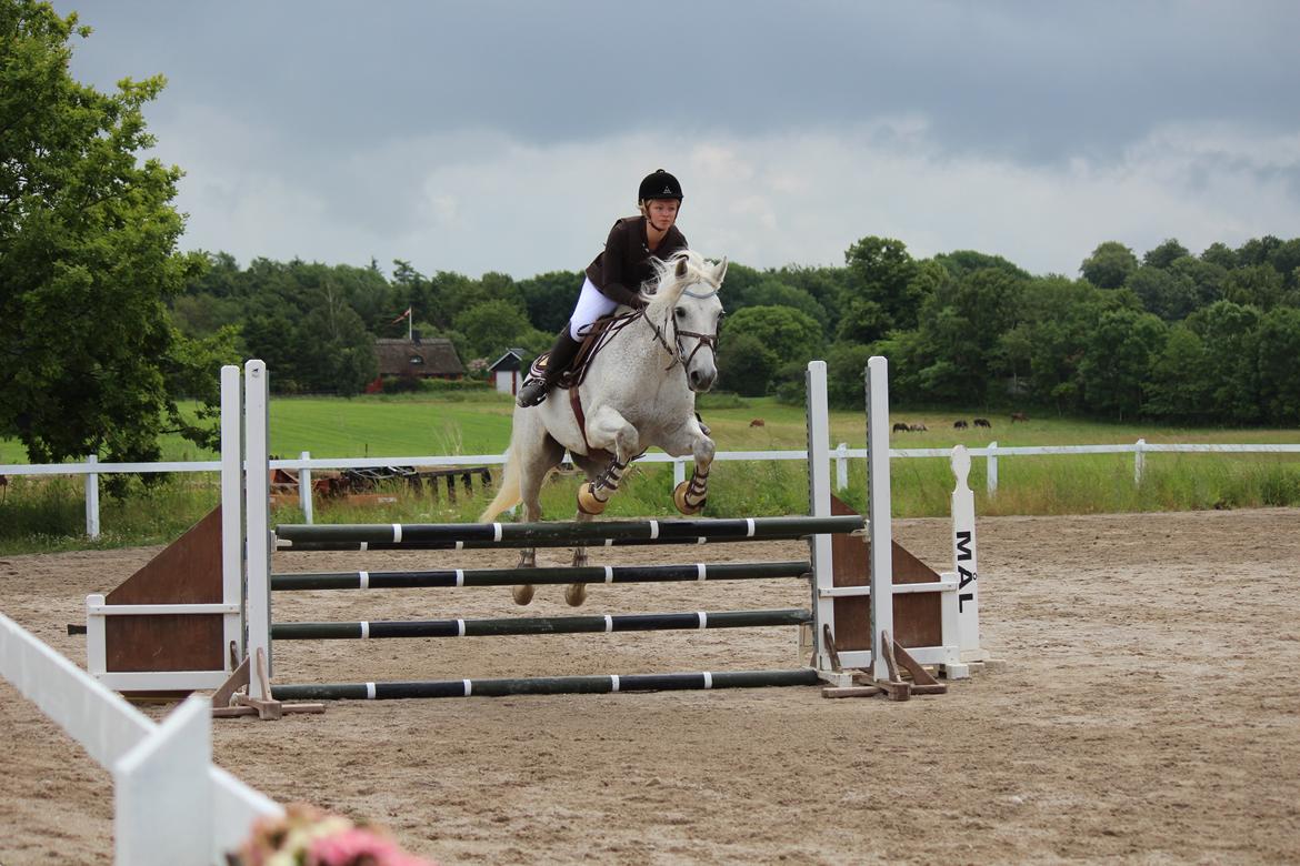 Connemara Kalle  - LA på GBR - 2.plads billede 5