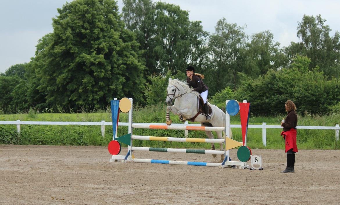 Connemara Kalle  - Min første MB - 1.plads :D billede 4