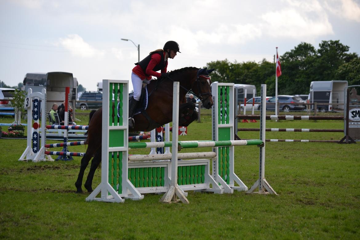 Welsh Cob (sec D) Fronerthig Mary Jane!<3 $$$ - Fynsmesterskab for pony hold 2013 <3 billede 7