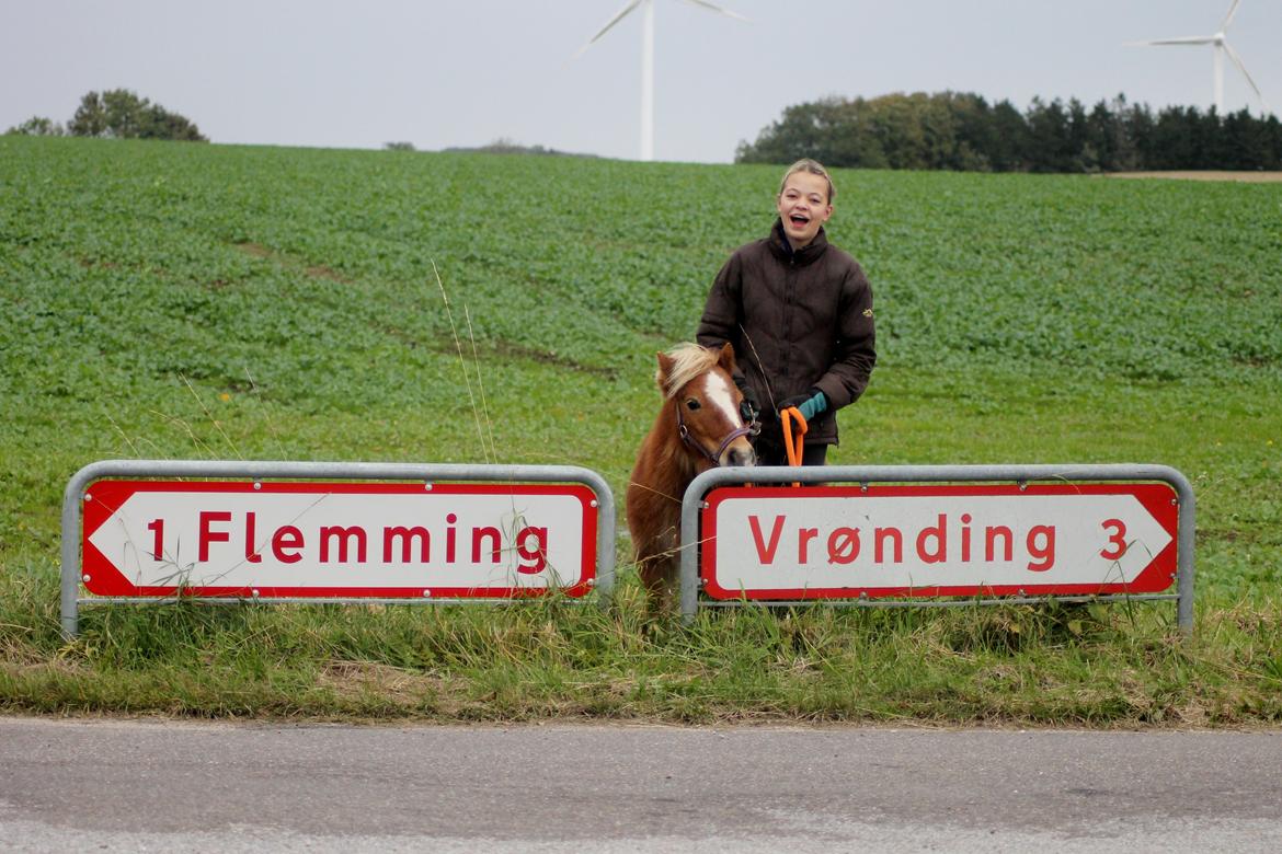 Anden særlig race Alberte *Bette skid* - Hun er næsten mindre end vejskilteneXD billede 2