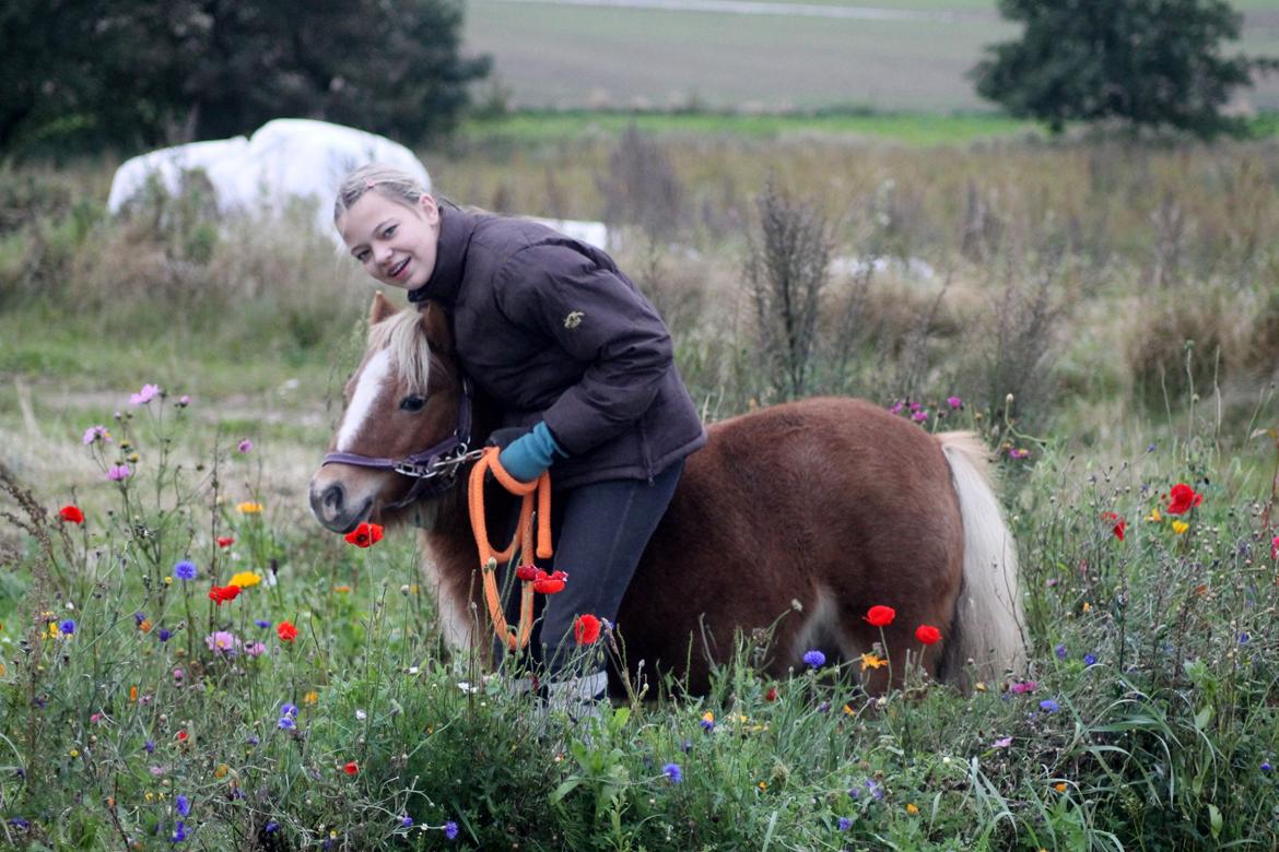 Anden særlig race Alberte *Bette skid* - Mig og Alberte i blomsterne:-*<3 billede 7