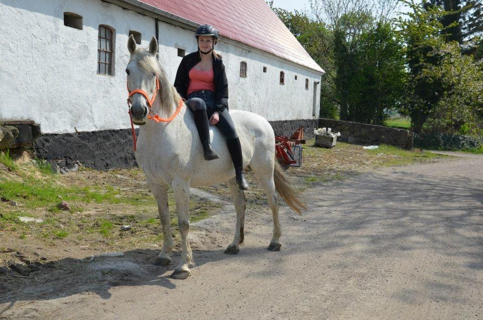 Holstener Melody XII billede 4