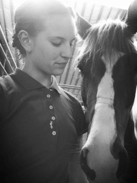 Anden særlig race Kingston - den dejligste lille hest  billede 18