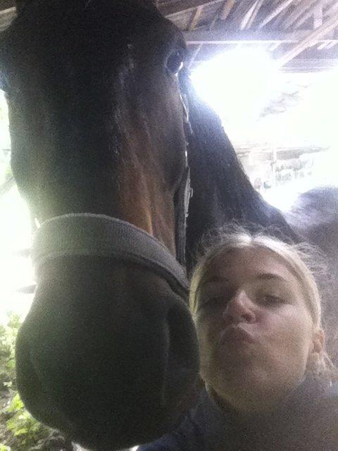 Holstener Columbus B - Ligemeget hvad de andre siger, så er du den bedste! <3 billede 11