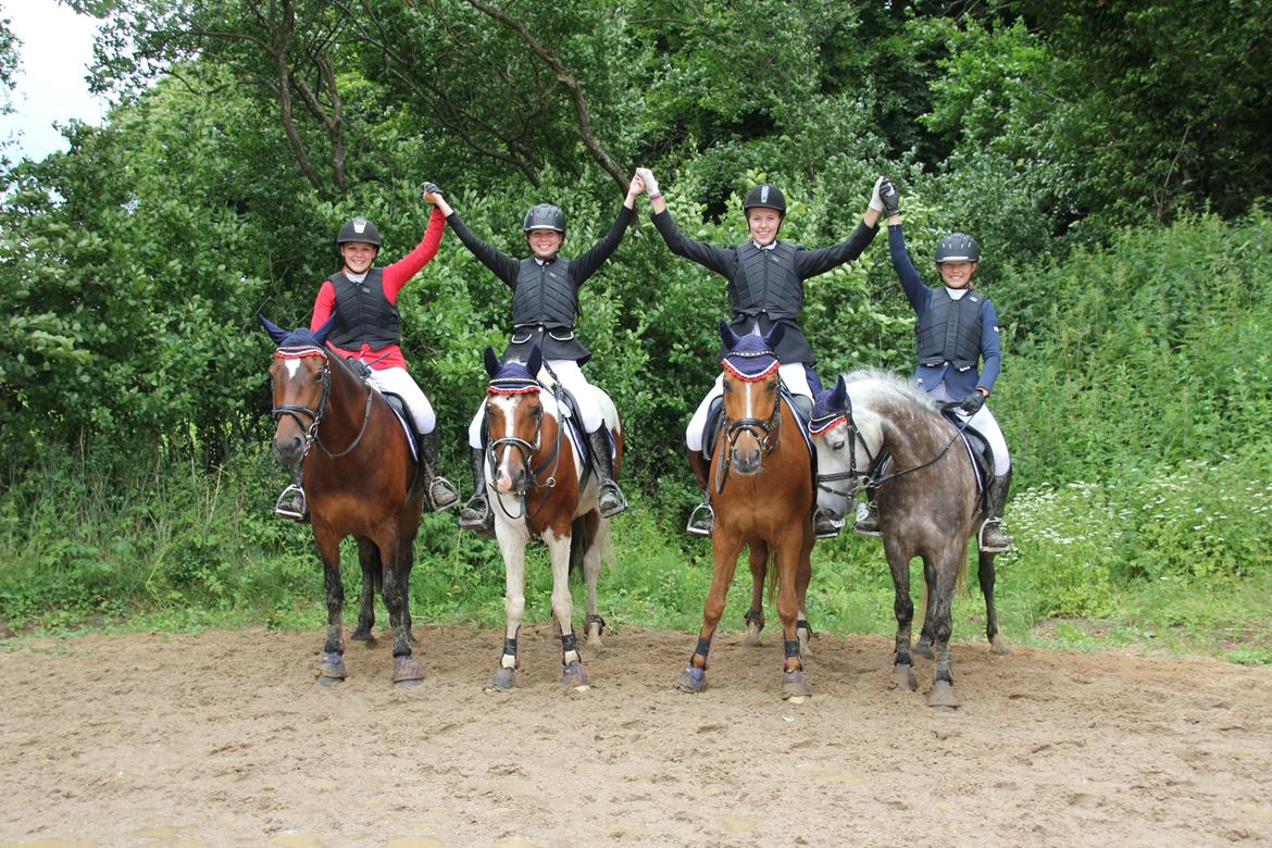 Anden særlig race Kelabo van Orchid's <3 - FM.holdet, de dejligste holdkammerater <3 Sponsoreret af Otterup Hobbyfoder :)  billede 4