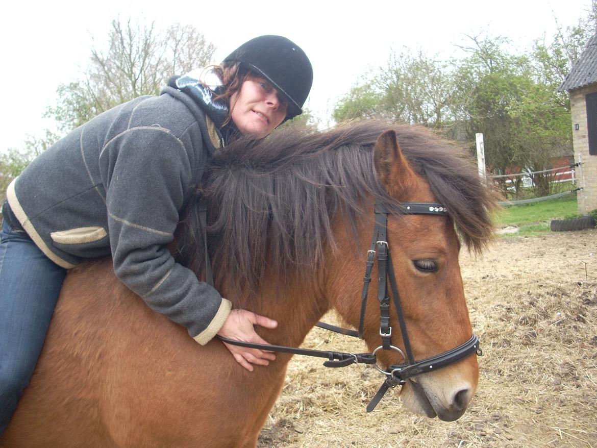 Anden særlig race waliska billede 5