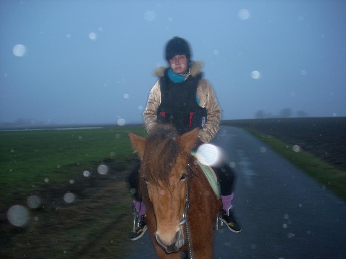 Anden særlig race waliska - valiska og min datter på tur billede 8
