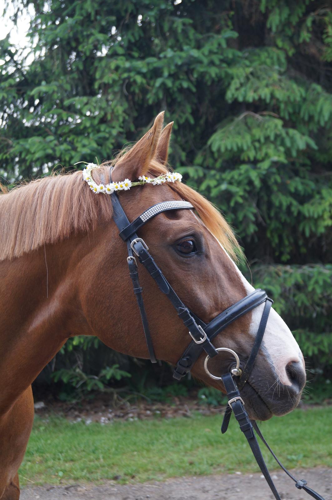 Anden særlig race Mon Cheri<3 - Du er den BEDSTE!!!!!!<3 billede 1