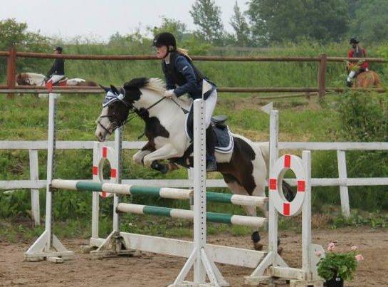 Anden særlig race Rain Solei - B-pony - MB** Foto: Sandra Iversen billede 7