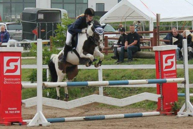 Anden særlig race Rain Solei - B-pony - MB* Foto Sandra Iversen billede 9