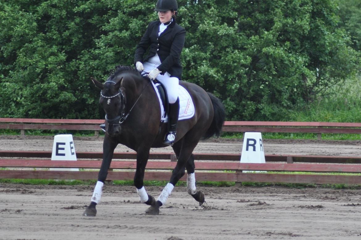 Oldenborg Samira af Smedegaard. - Samira <3
 billede 17