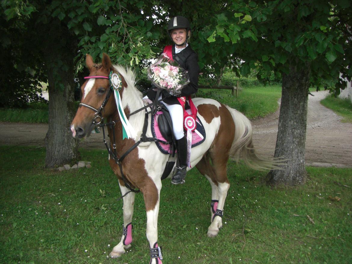 Hollandsk Sportspony Nelly - jaa fik en 3 plads D- mesterskab  billede 1