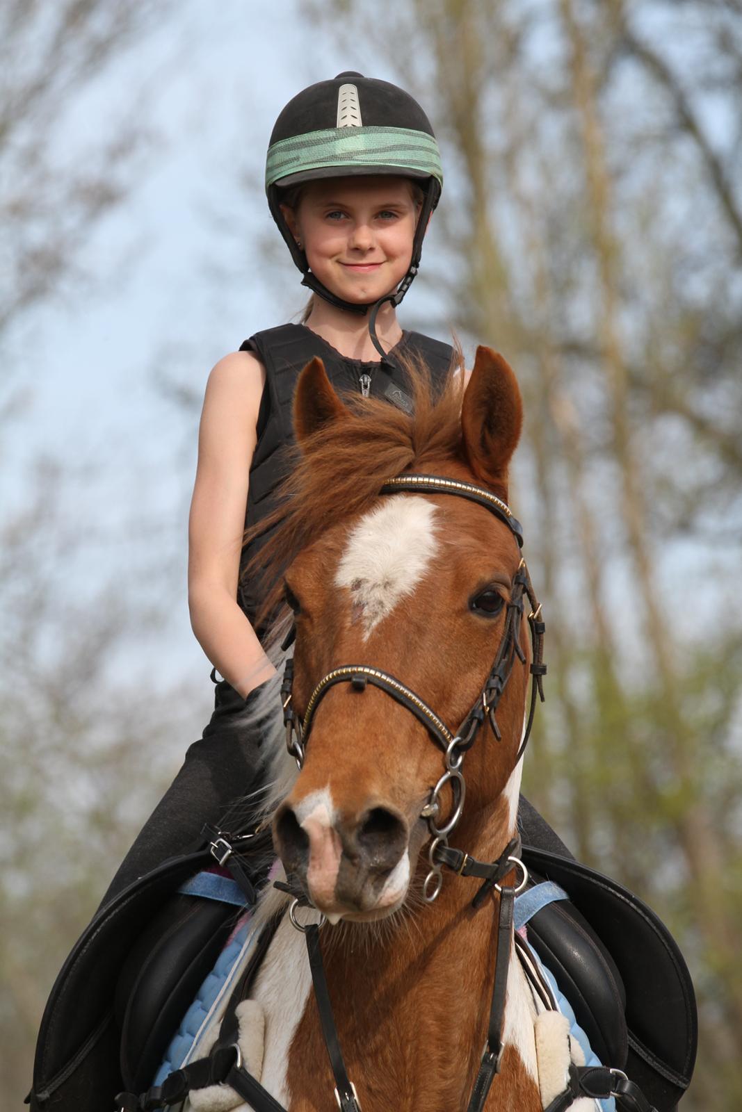 Hollandsk Sportspony Nelly billede 6