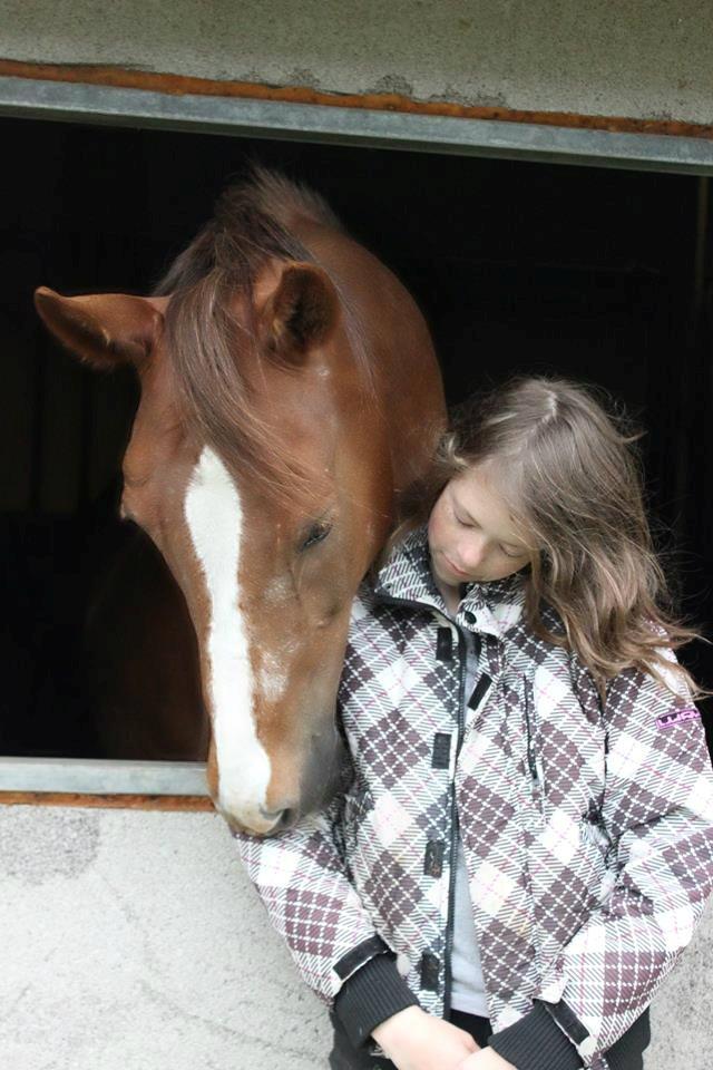 Anden særlig race Lions - Elsker virkelig den hest <3  billede 13