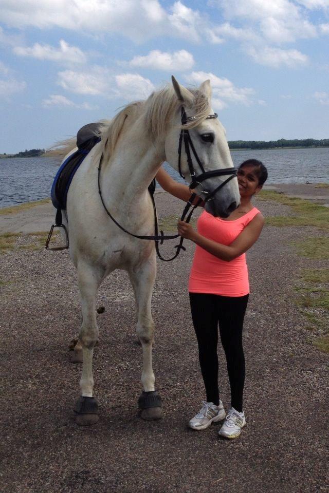 Lusitano Vento - En tur ned til molen billede 11