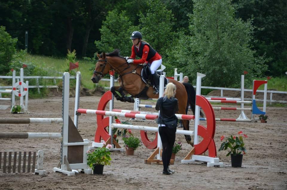 Anden særlig race Esmaralda - LA* i ponygården, 3. plads
Foto af Anette Christiansen billede 16