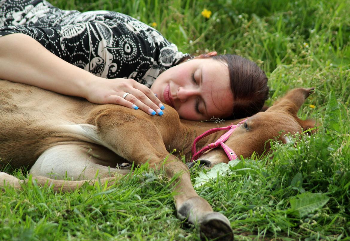 Dansk Varmblod Angel of music (SOLGT) *For evigt elsket <3* - Min lille engel og mig tager en lur billede 46
