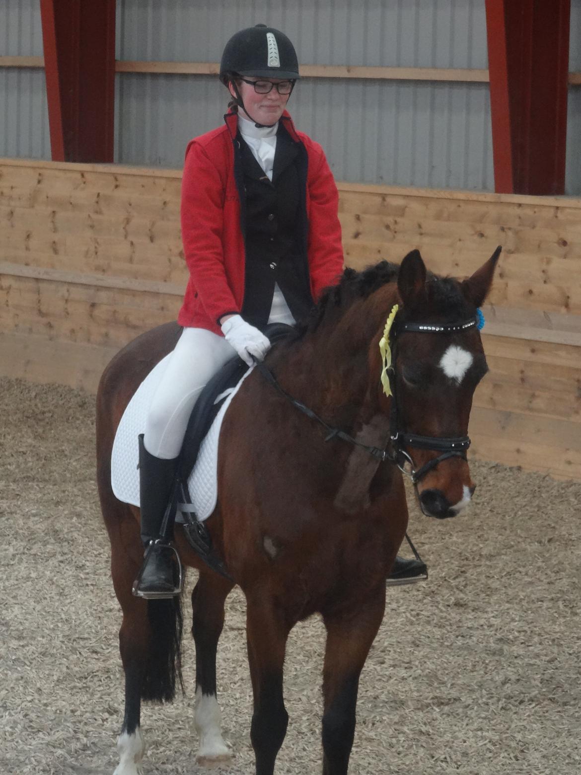 Anden særlig race Shakira billede 3